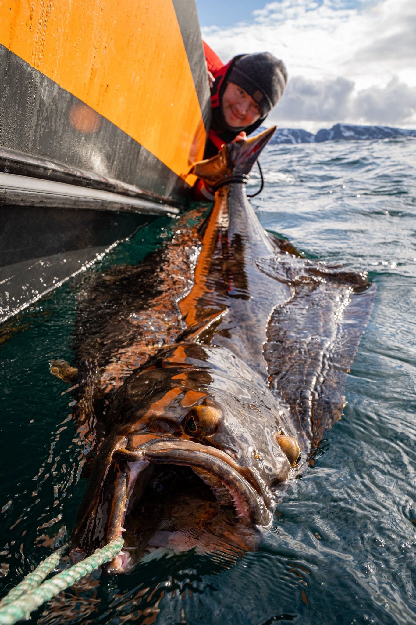 Halibut just before release