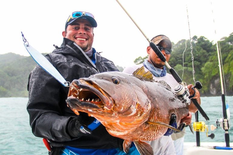 Popper fishing for Cubera snapper