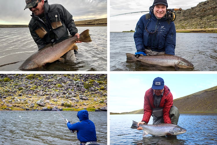 Angler casting and catching trout