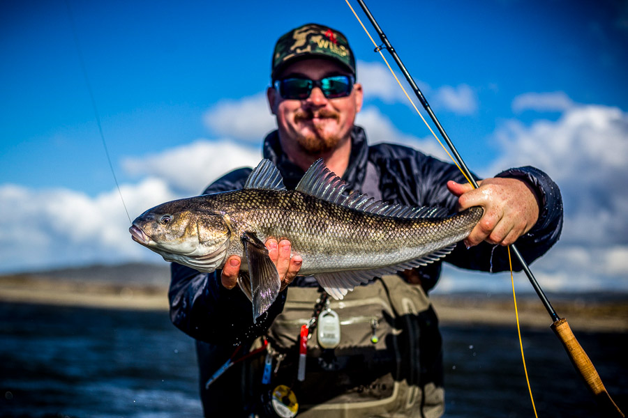 Robalo from Argentina