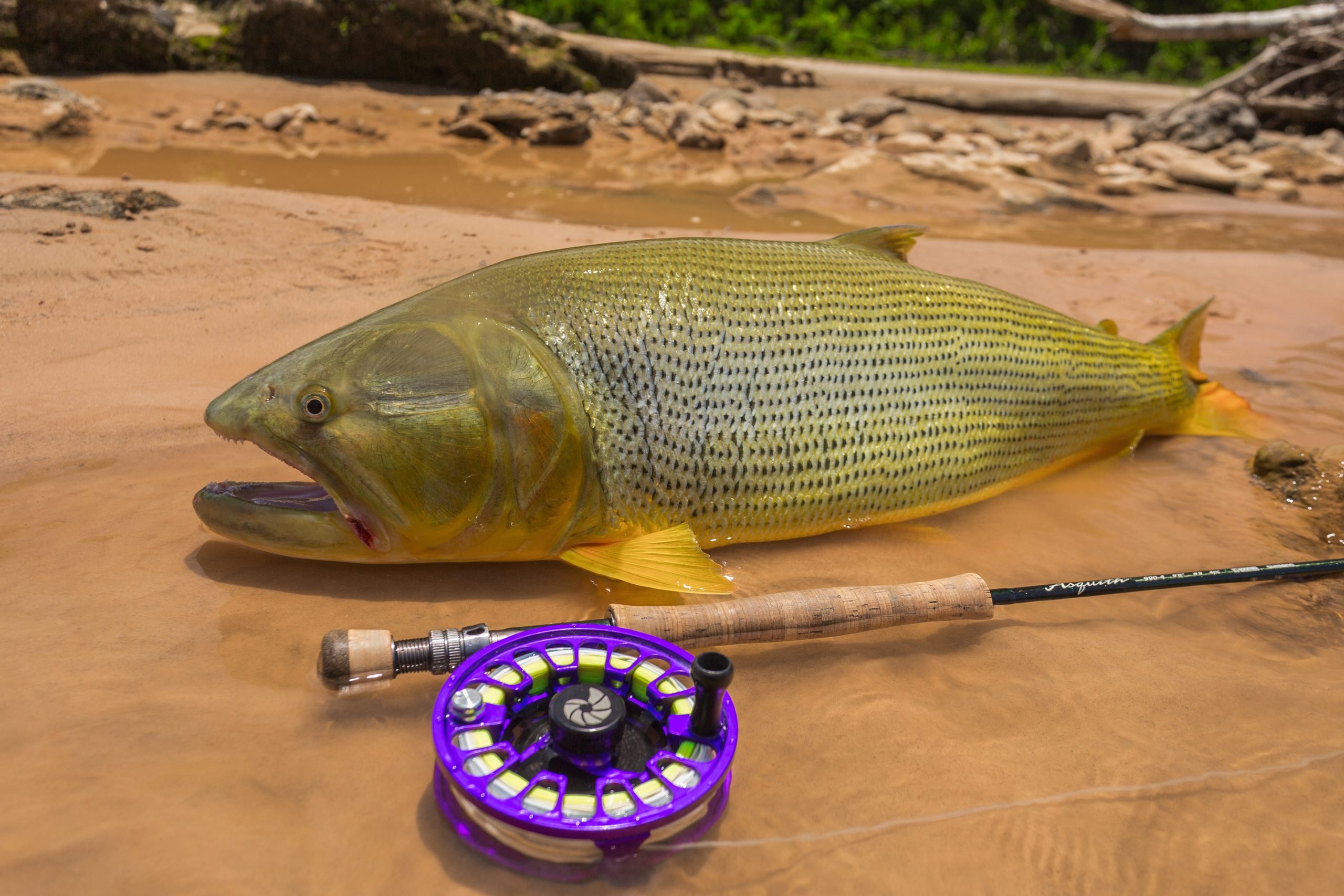 how to store fly line