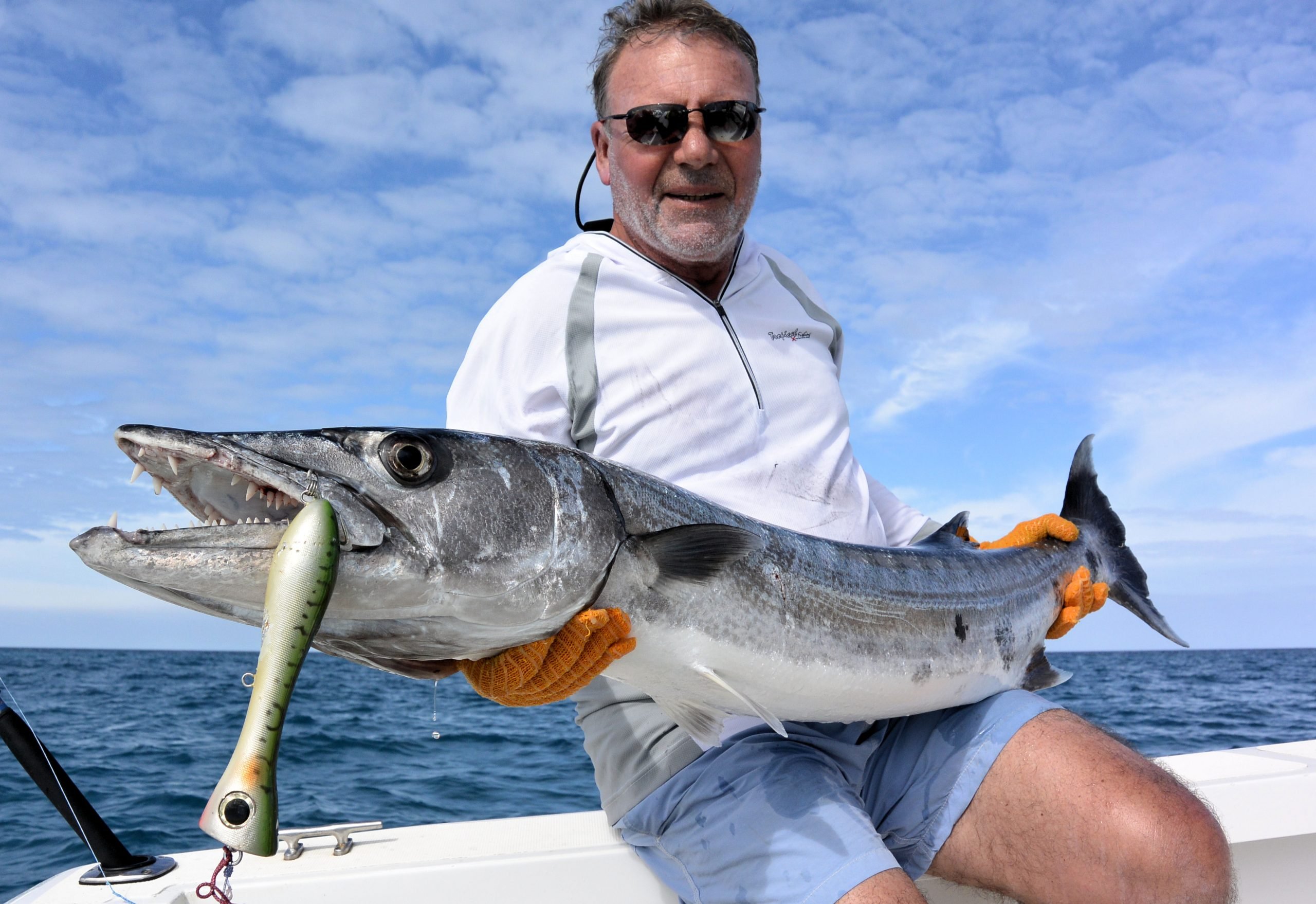 barracuda on popper