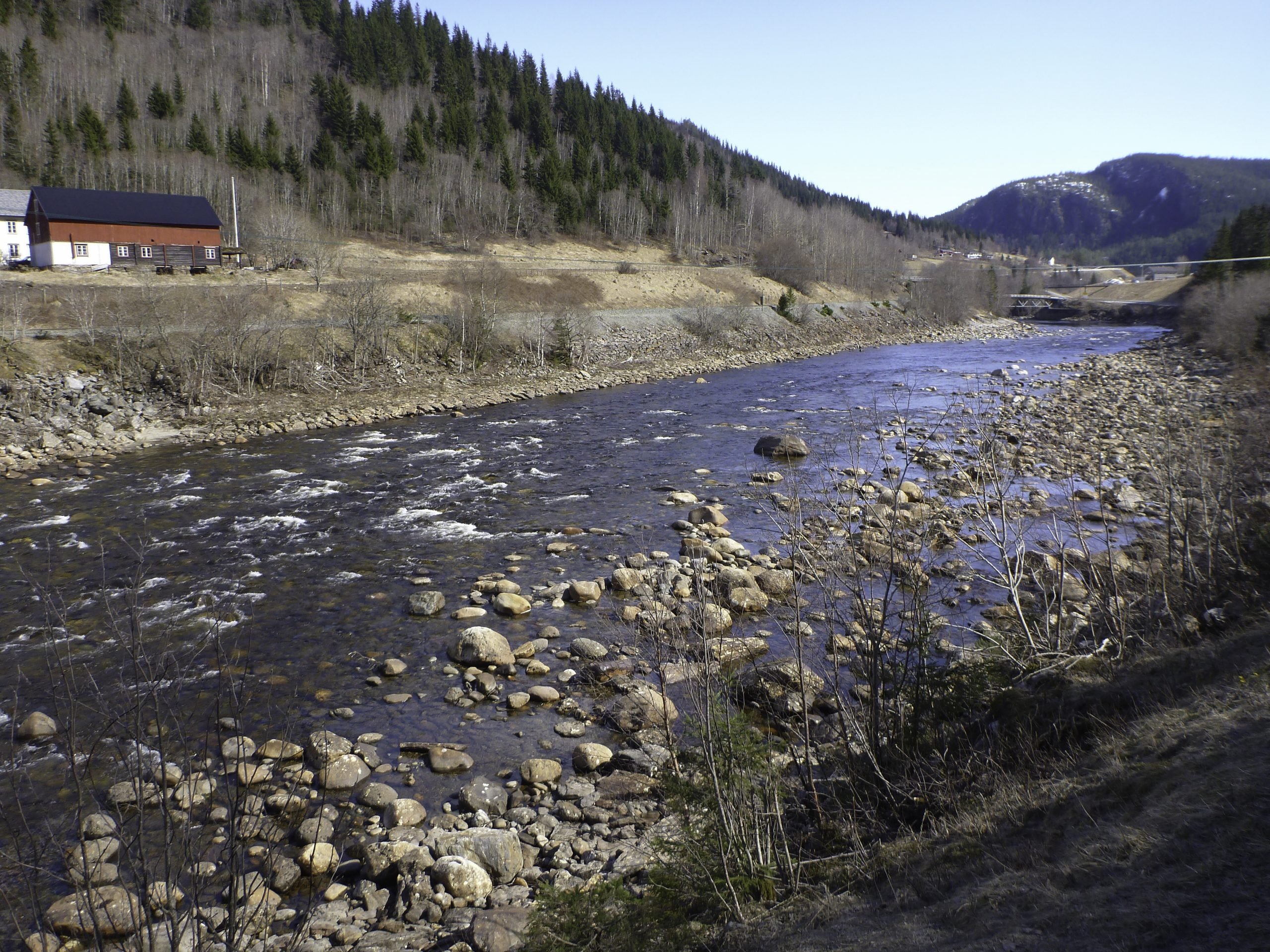 norway salmon rivers Gaula