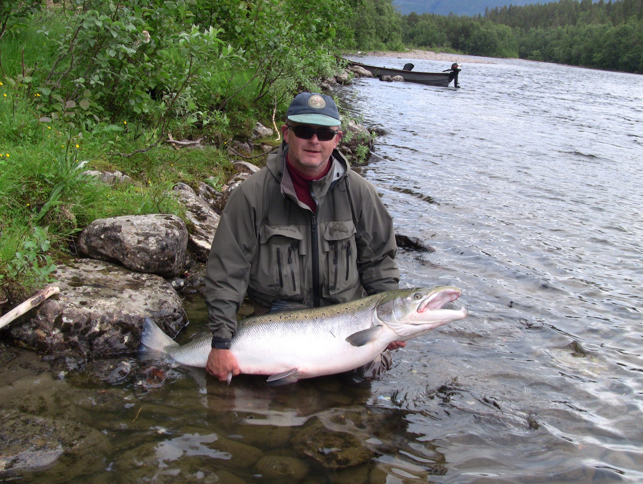 Large atlantic Salmon