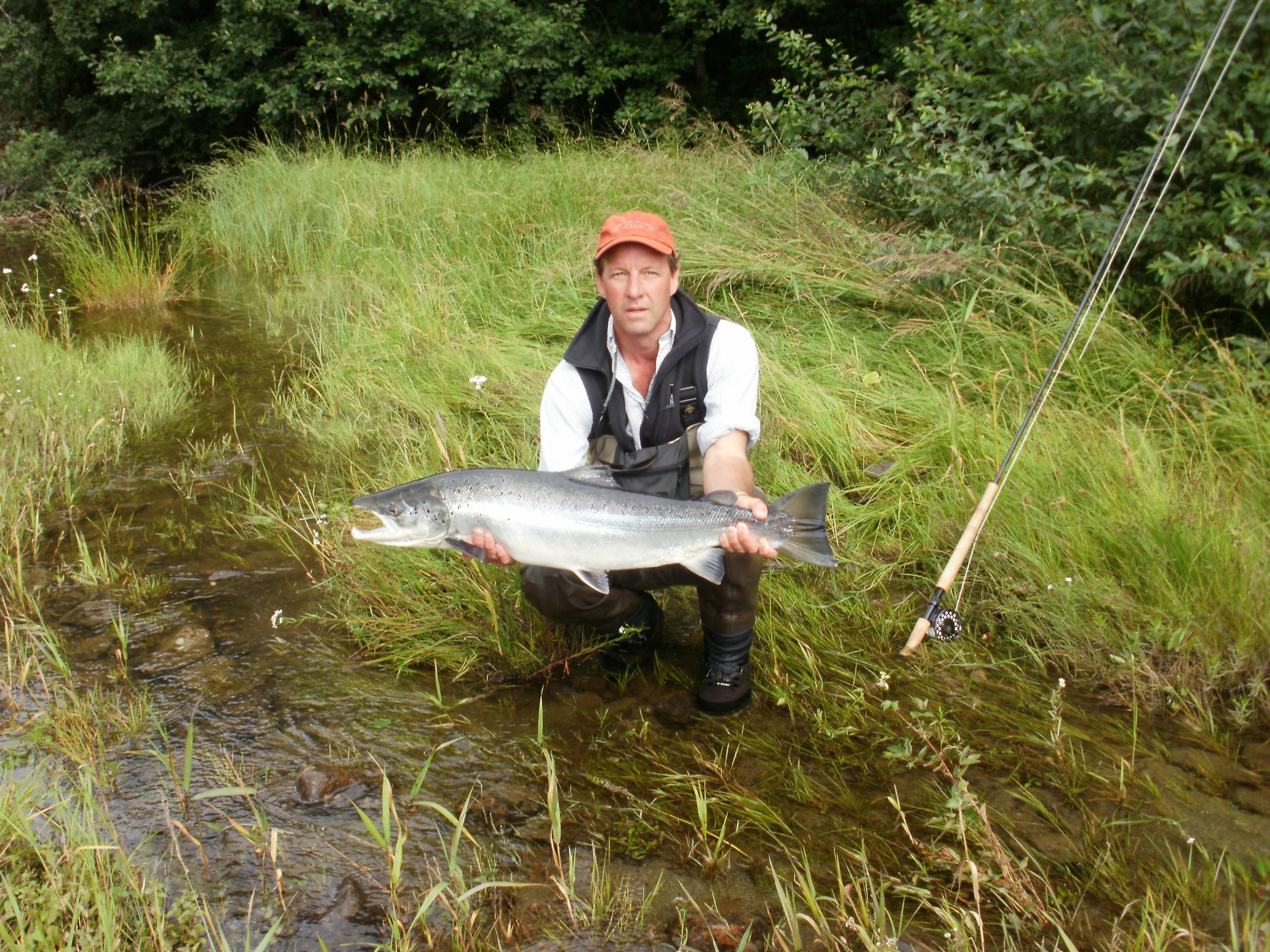 Large chrome norway river Salmon