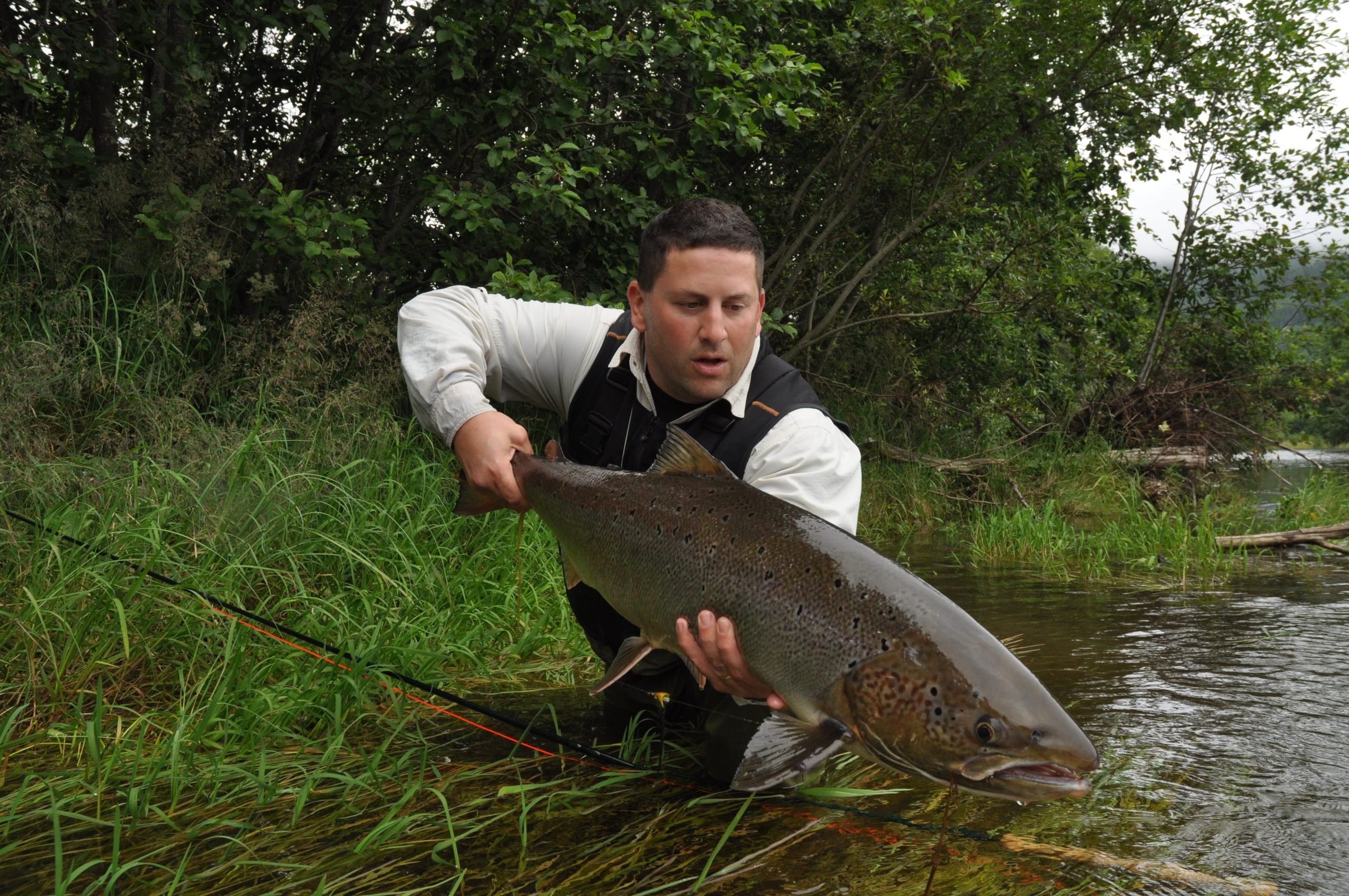 norway Salmon