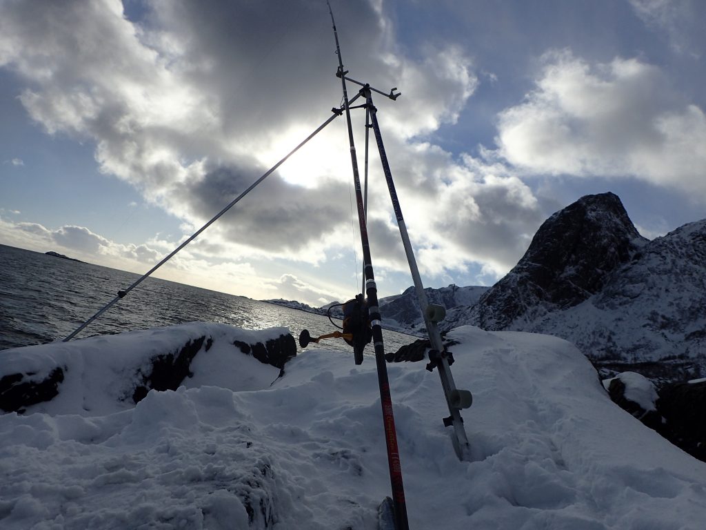 Shore Fishing Tips And Techniques Norway | Sportquest Holidays