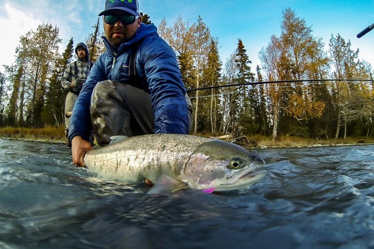 Steelhead trout alaska