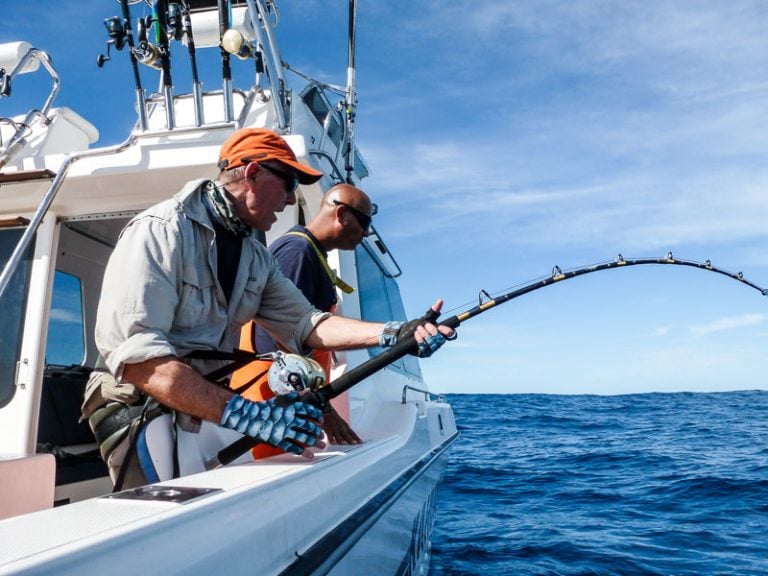 South Africa Big Game Fishing Yellowfin Tuna