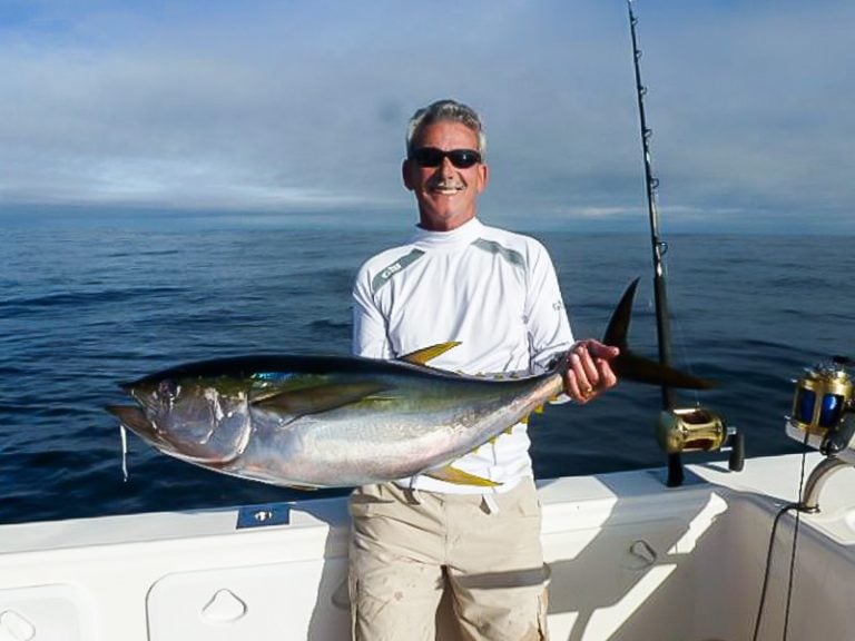 Large Yellowfin Tuna in Cape Town