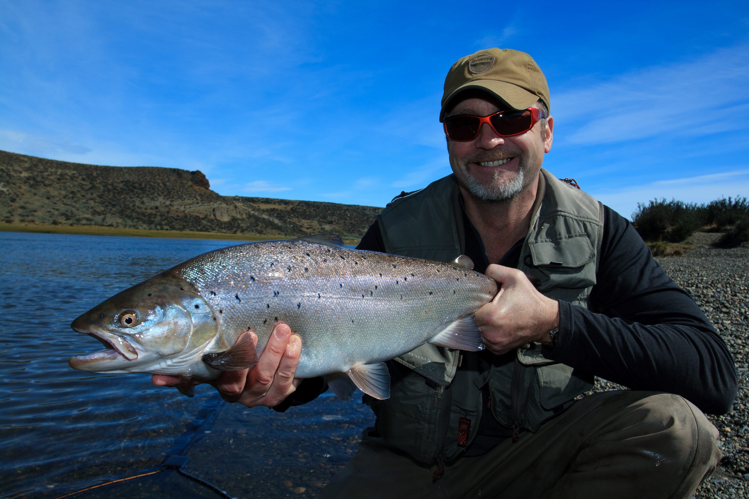 where to catch sea trout