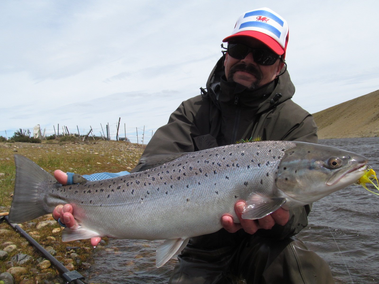 where to catch sea trout