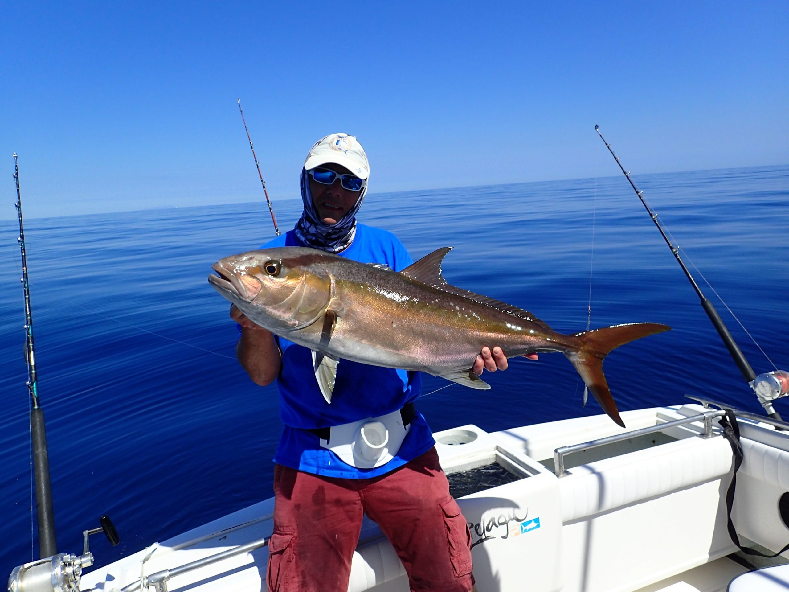 amberjack best game fishing in the world