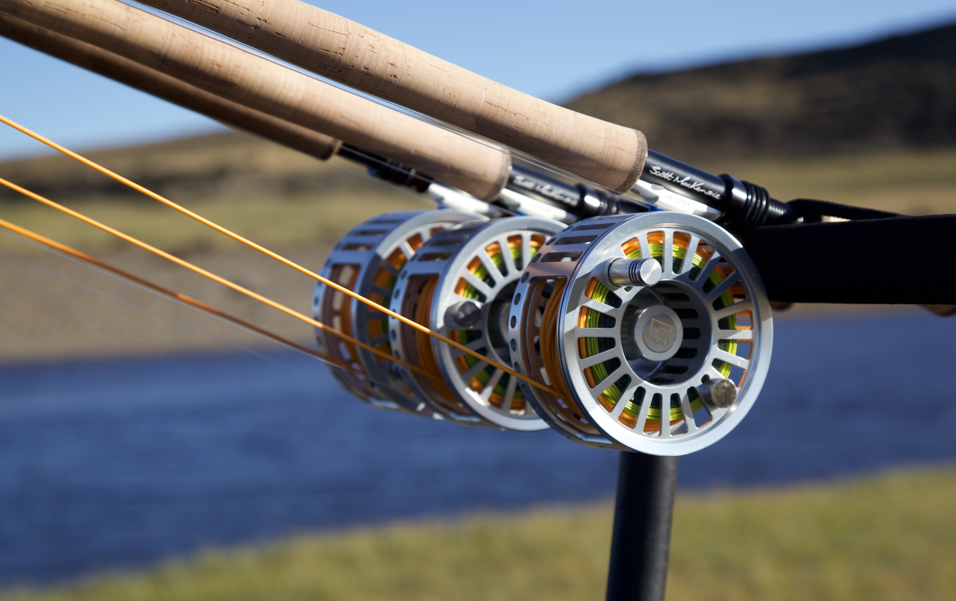 where to catch sea trout