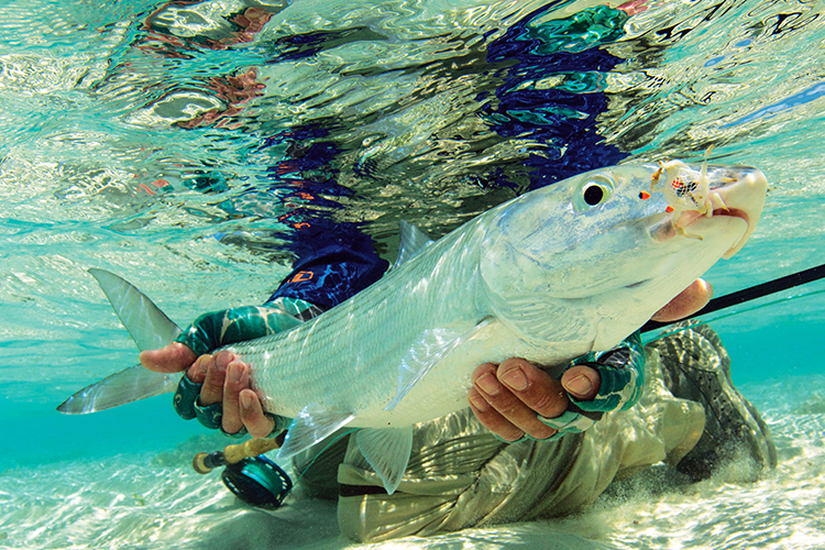 Everything you need to know about catching Bonefish
