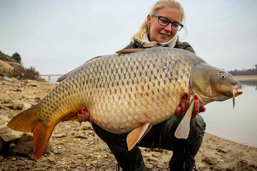 Wild Carp Fishing Adventures, River Ebro, Spain