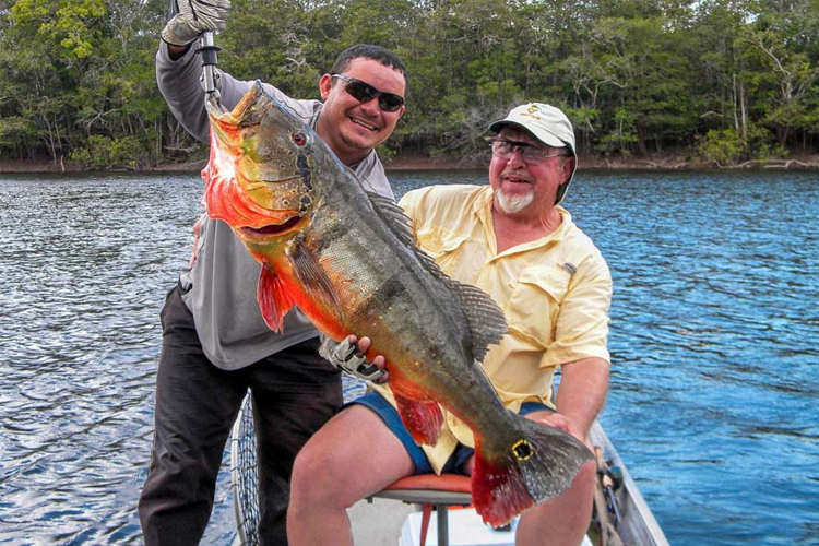 Peacock Bass Fishing Brazil At It's Best - 333333333