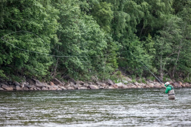 Norway salmon fishing