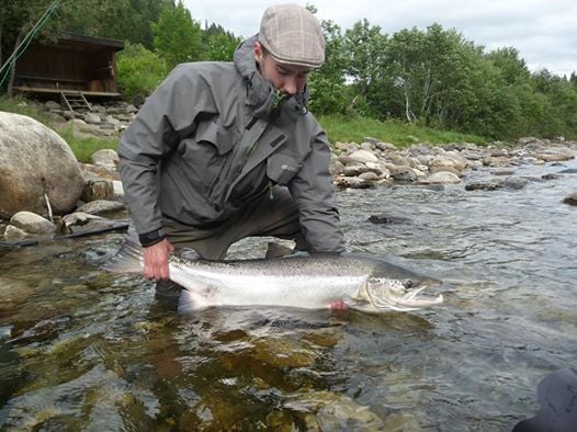 release of a big atlantic salmon