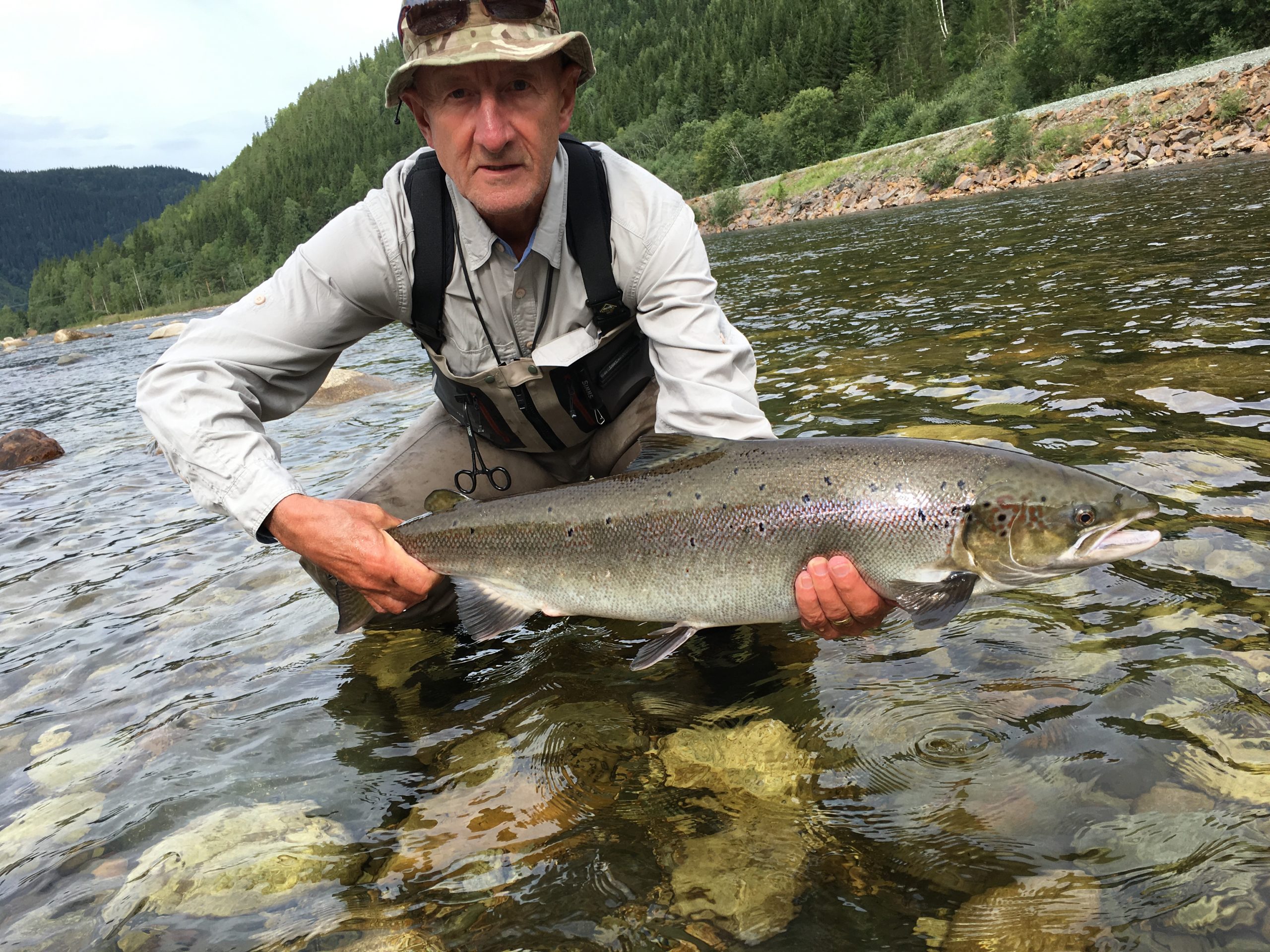 Huge Atlantic Salmon