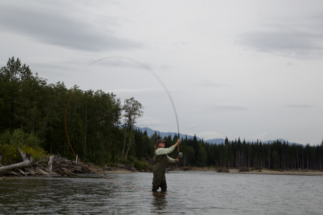 spey cast mid roll