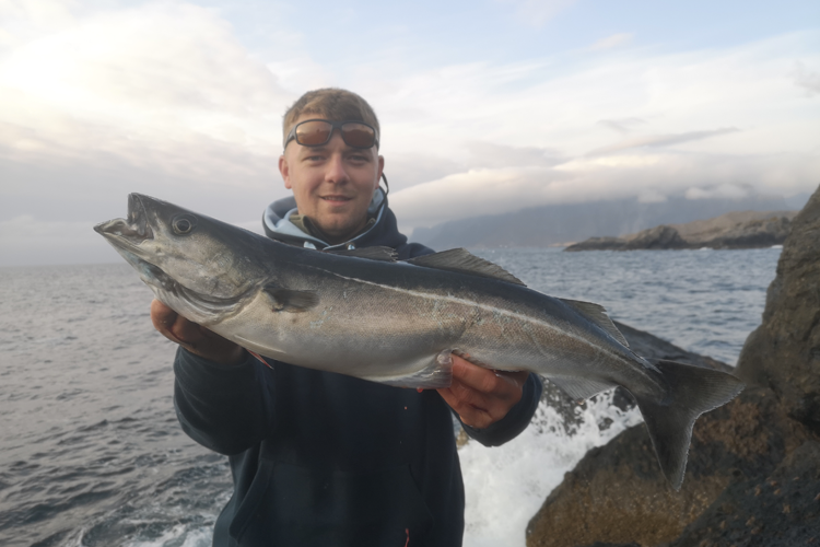 Norway Shore Fishing Report Week 1 2020 Autumn Season | Sportquest Holidays