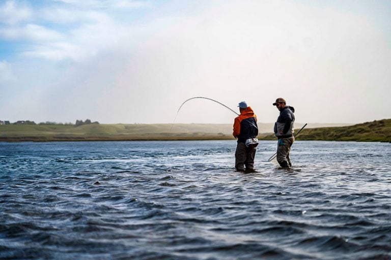 guide and customer playing a fish at sunset on the west ranga river iceland