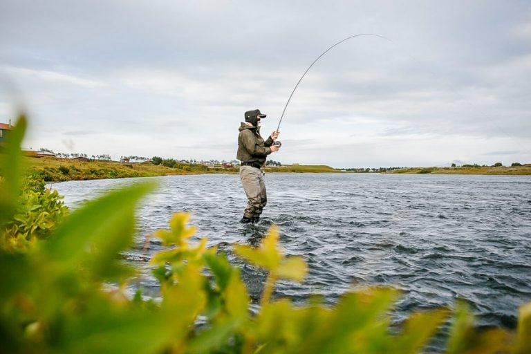 picture of salmon fly fishing on the west ranga river in iceland