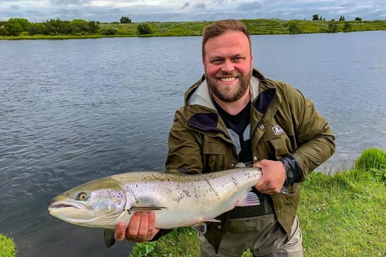 beautiful Icelandic atlantic salmon