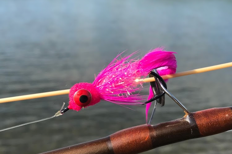 small arctic char flies