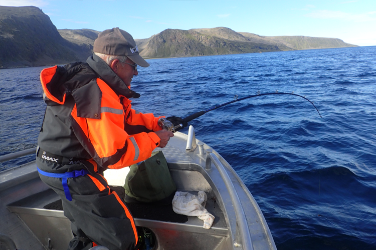 Halibut fishing techniques Norway