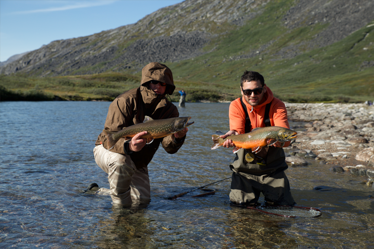 arctic char flies