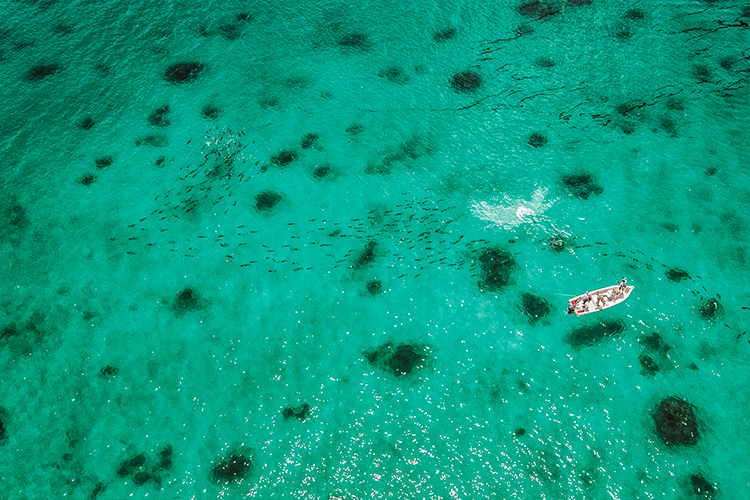 flats fishing birds eye view