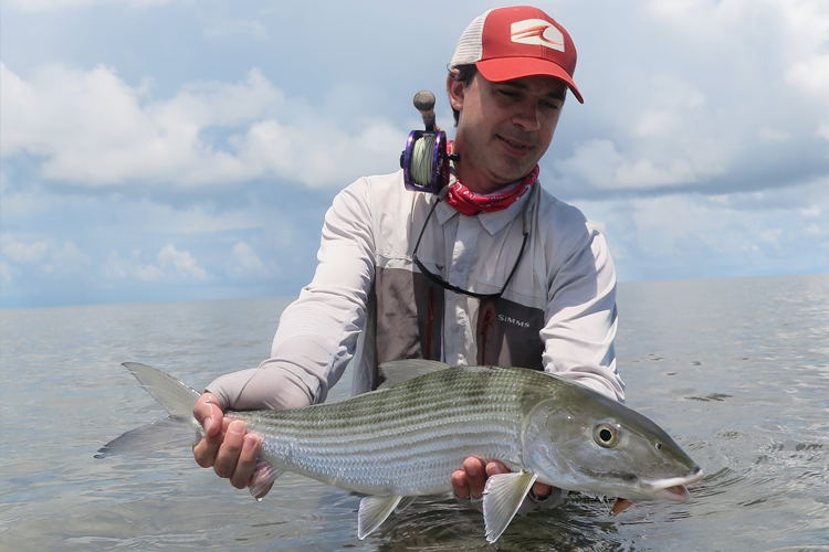 Bonefish on the flats