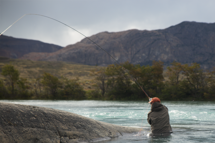 king salmon fishing tips setting the hook