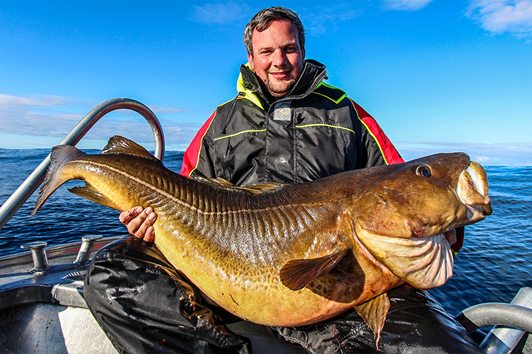 dark cod before release in norway