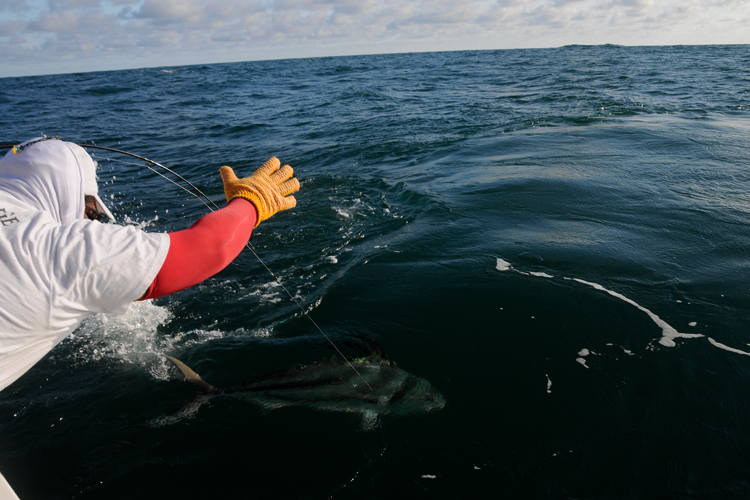 trolling fishing