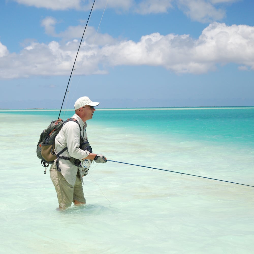 Homepage - Saltwater Fly Fishing