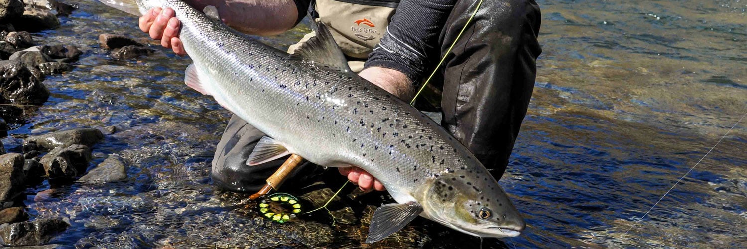 Salmon Fishing Iceland, Freshwater Fly