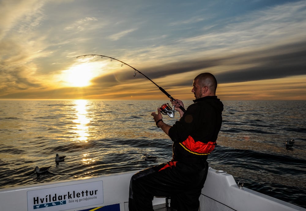 Atlantic Halibut Fishing, Norway & Iceland