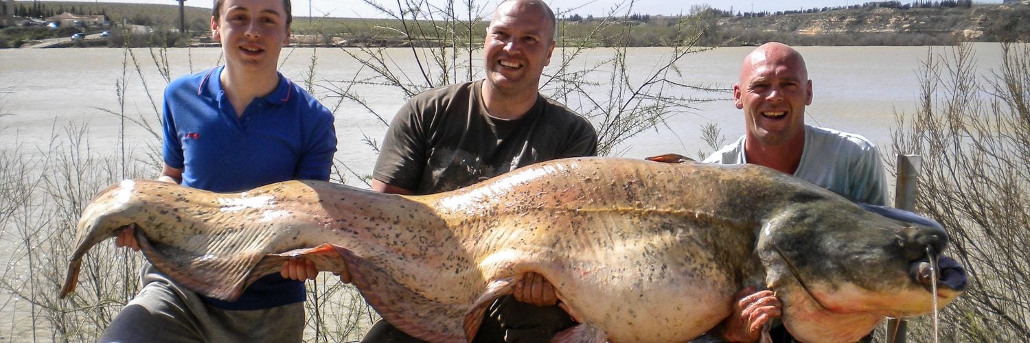 Fishing Holidays Spain Carp & Catfish, River Ebro