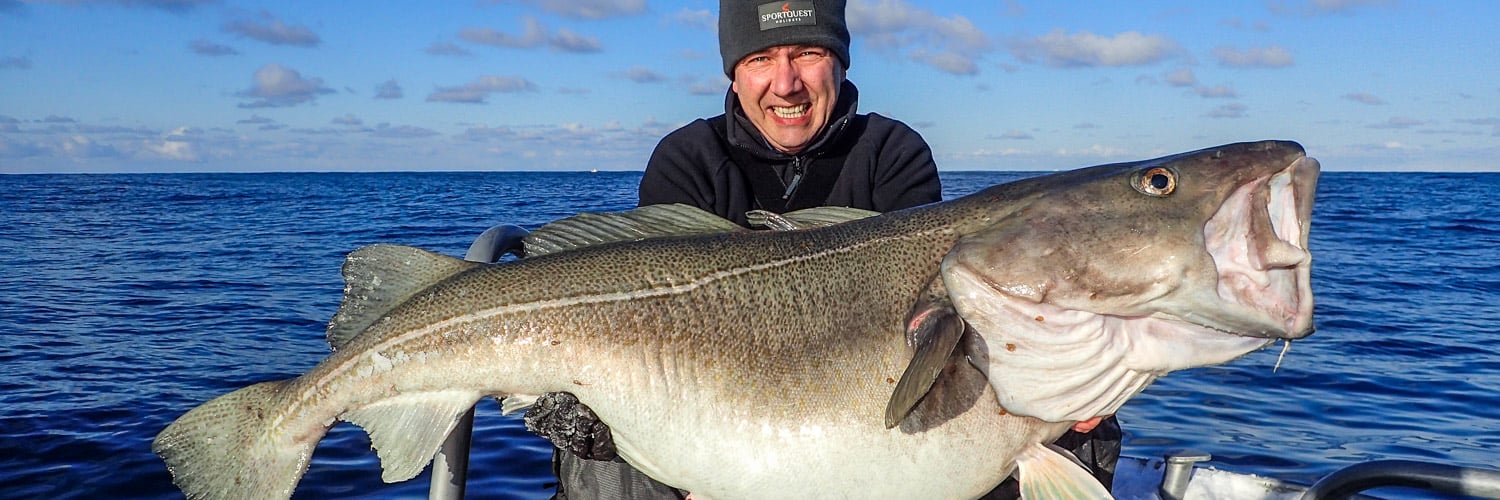 Cod Fishing Trips, Norway & Iceland, Big Skrei Fish