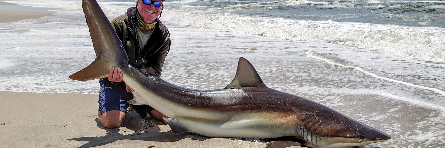 Bronze Whaler Shark Fishing, Beach & Shore