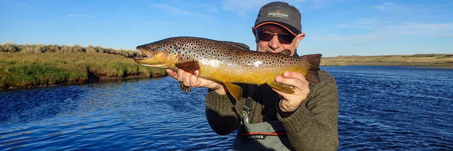 Brown Trout Fishing, Freshwater Fly