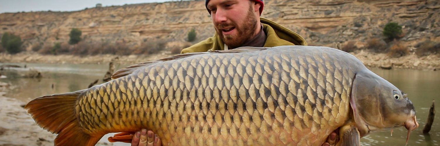 Common Carp Fishing, Spain & Canada