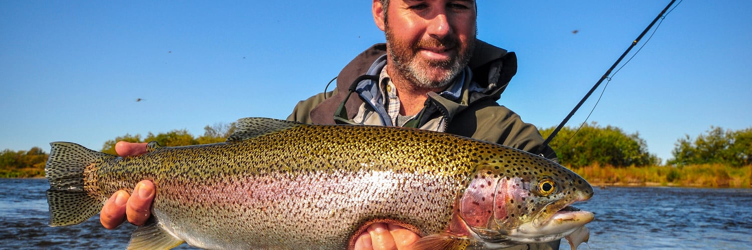 Pulled up a decent trout on the dock runner. Best combo ever : r