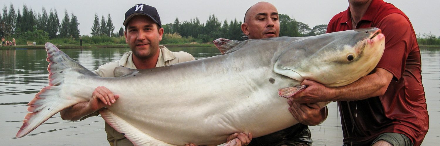 Mekong Catfish Fishing, Thailand & Asia