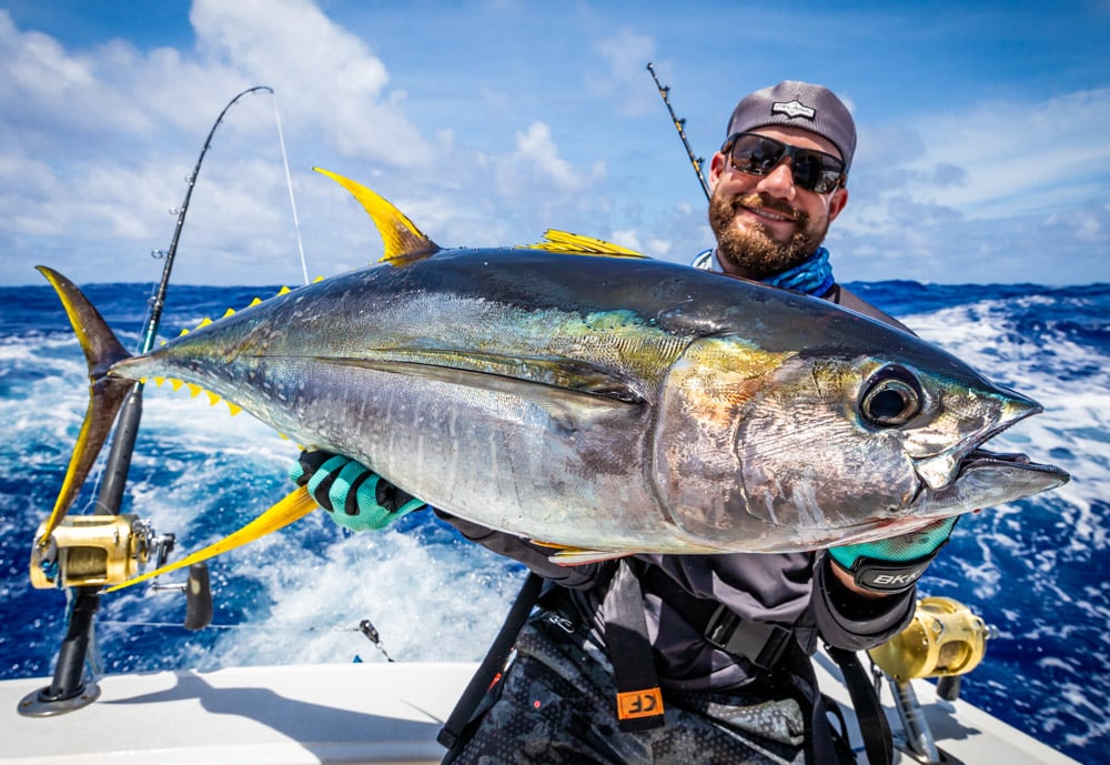 Angler Chronicles - Fun size Yellowfin Tuna for the Bass Rod