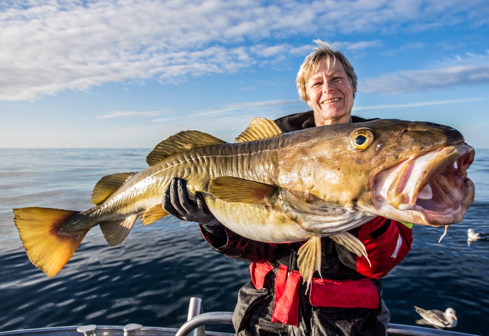 Fjord and sea fishing in Norway