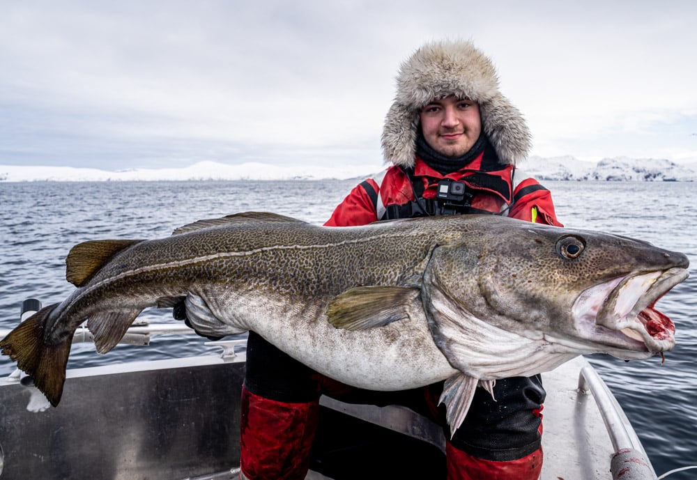 Norway Sea Fishing Holidays